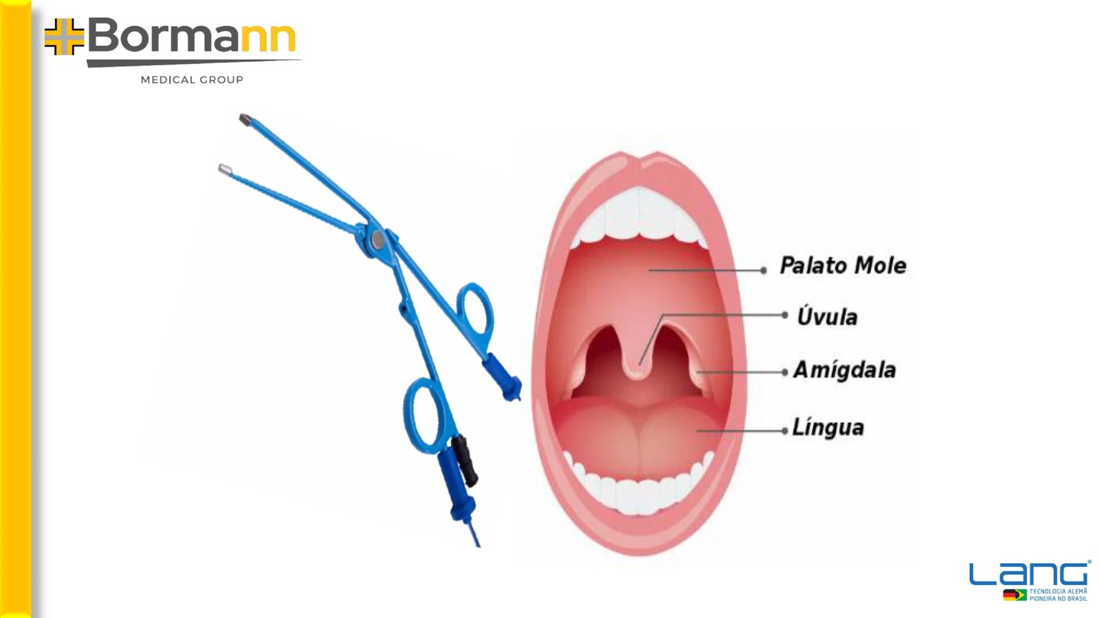 imagens Site catalogos de Produtos-imagens-8