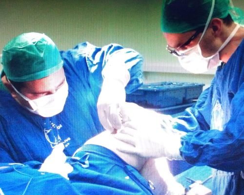 WhatsApp Image 2025-04-10 at 17.48.10 WhatsApp Image 2025-04-10 at 17.48.10