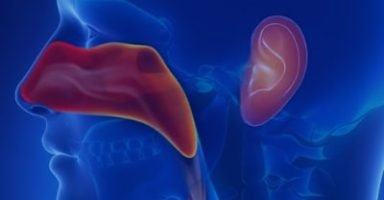 singular-medicina-de-precisao-exame-otorrinolaringologia-min